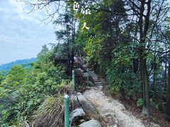-南山植物园