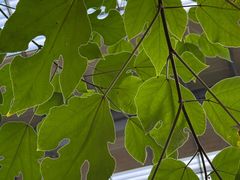 -御龙温泉度假村