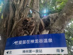 -三亚海棠湾南田温泉神龙谷
