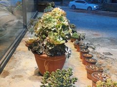 -夏雨路轩特色餐厅·十年经营