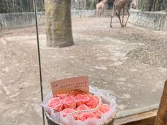 -长鹿旅游休博园