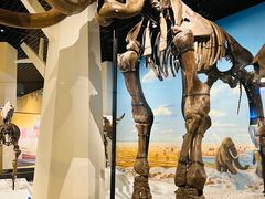 -国家自然博物馆