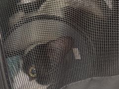 -德元·美联众合24小时动物医院(总院)