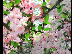 -温江公园