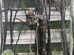 -石家庄市植物园