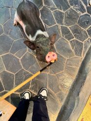 -Zoolung Zoolung动物主题公园(海信广场店)