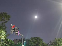 -武昌江滩