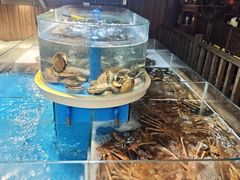 -黑木原精致料理·铁板烧