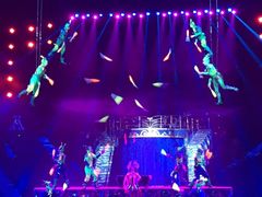 -珠海横琴长隆《卡卡虎奇遇记》