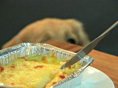 -百好乐宠物友好餐厅(朝外大街店)