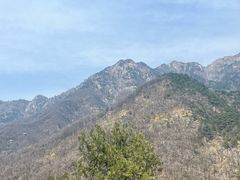 -泰山风景名胜区