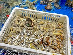 -明本湛江鸡•海鲜小厨(陈家祠店)