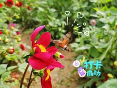 -陕西省西安植物园
