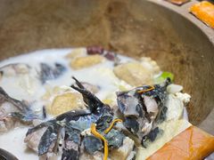 -滇小鱼·云南野生菌火锅(上杭路店)