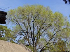 -承德避暑山庄景区