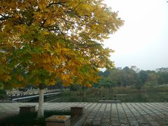 -江南大学(蠡湖校区)