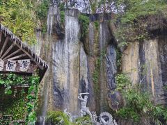 -西双版纳原始森林公园