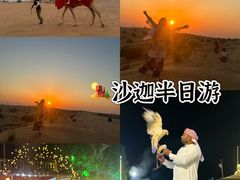 -迪拜沙漠冲沙