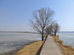 -野鸭湖国家湿地公园