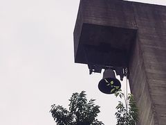 -美丽洲堂