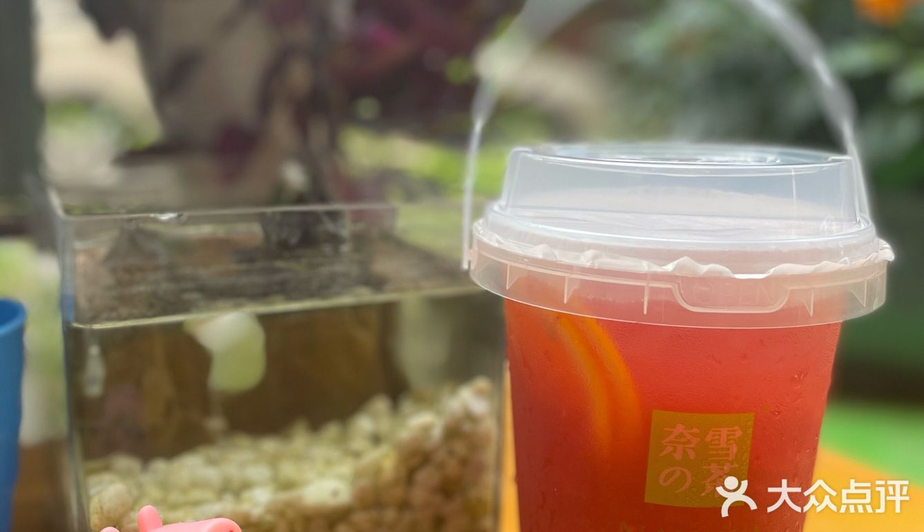 你就是我戒不掉的那杯茶