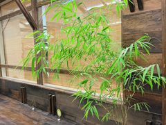 -竹子咖啡bamboo coffee