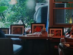 -咖法森林·咖啡  酒吧(天河店)