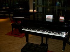 -柏斯音乐艺术中心·钢琴·吉他(上音店)