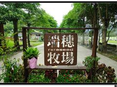 -瑞穗牧场
