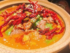秦椒油泼岭南黄牛肉-薇酌饮·陕西菜(南门外店)