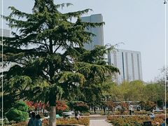 -睦南公园