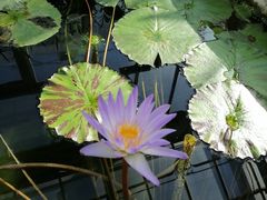 -国家植物园南园