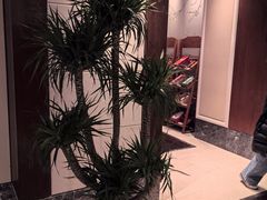 -浙江西子宾馆·牡丹厅