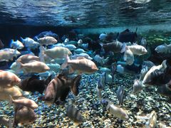 -成都浩海立方海洋公园