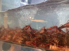 -三太子地摊烧烤·小龙虾(北蔡店)