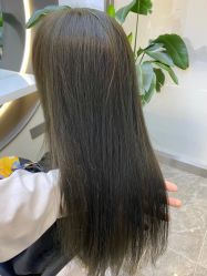-YESIDO椰岛造型