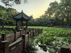 -房湖公园