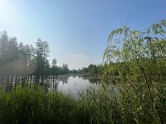 -白鹭湾湿地公园