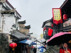-后柳水乡