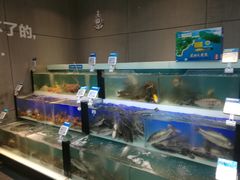水产区-盒马鲜生(杭州运河上街店)