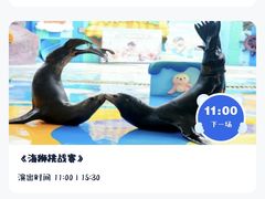 -海合安成都极地海洋公园