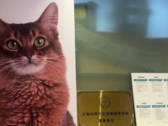 -瑞派申生动物医院·24H夜诊·国际动物医疗中心·骨外科(吴中路店)