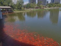 -西海子公园