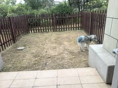-秦皇岛阿尔卡迪亚滨海度假酒店
