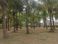 -白沙门生态公园