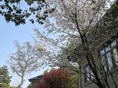 -颐和路民国时期公馆风貌区
