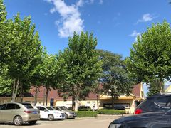 -COACH蔻驰(赛特奥特莱斯店)