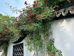 -绮园景区