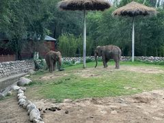 -北京野生动物园