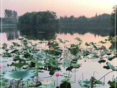 -上海市保健医疗中心